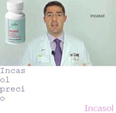 Google Incasol